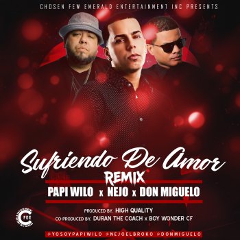 Papi Wilo feat. Nejo & Don Miguelo Sufriendo de Amor (Remix)