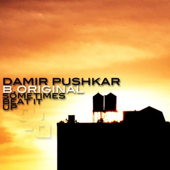 Damir Pushkar feat. B.Original Sometimes - Original Mix