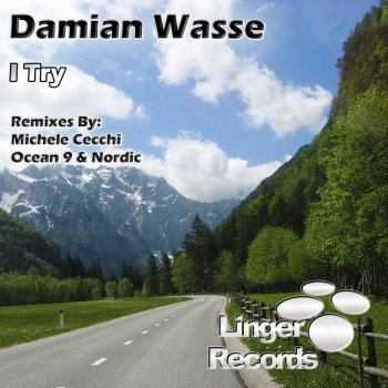 Damian Wasse I Try