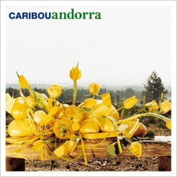 Caribou Irene