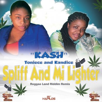 Kash Spliff & Mi Lighter