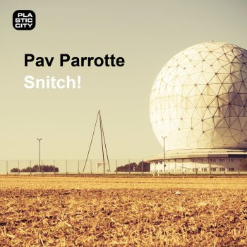 Исполнитель Pav Parrotte, альбом Snitch!