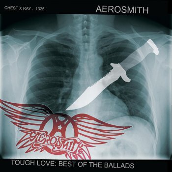 Aerosmith Love In An Elevator - Single Version