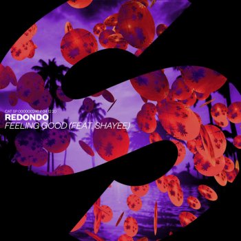Redondo feat. Shayee Feeling Good (feat. Shayee) - Extended Mix