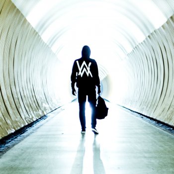 Alan Walker feat. Y&V Faded - Y&V Remix