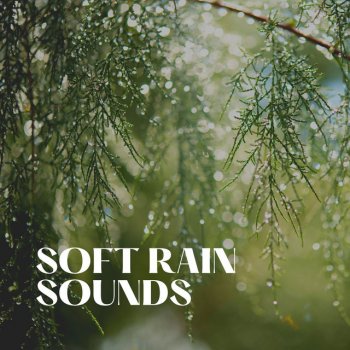 The Nature Soundscapes Twilight Rainburst