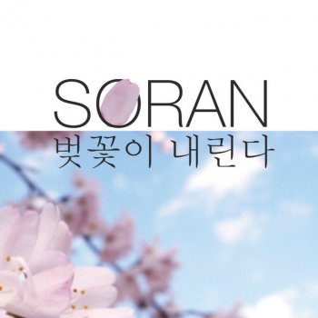 SORAN Cherry Blossom Falls 벚꽃이 내린다