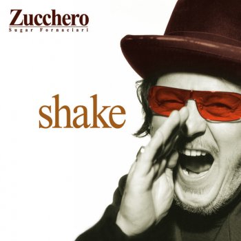 Zucchero Shake