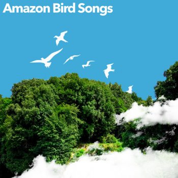 Animal and Bird Songs Flow Show