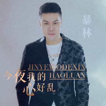 暴林 今夜我的心好乱 (DJ版伴奏)