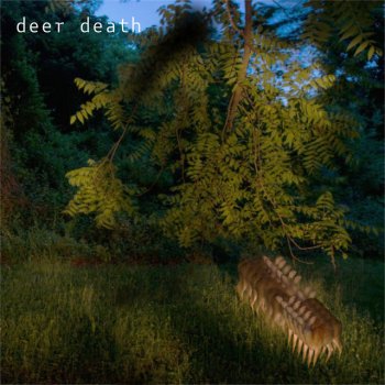 deer death A Letter