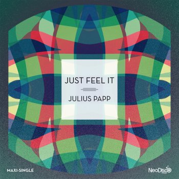 Julius Papp Just Feel It (Instrumental)