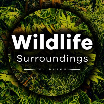 Wildazon Hushed Peaceful