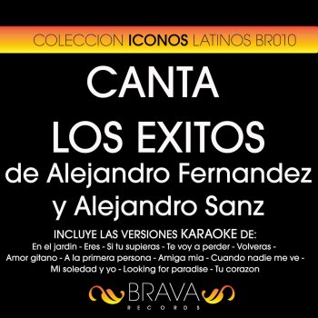 Brava HitMakers Cuando Nadie Me Ve (Karaoke Version) - Originally Performed By Alejandro Sanz