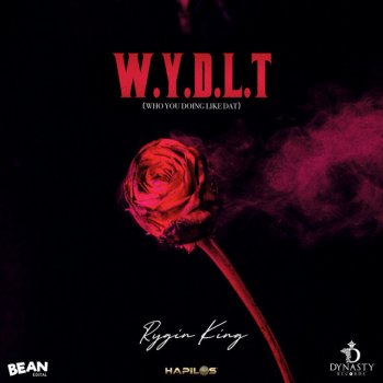 Rygin King W.Y.D.L.T (Who You Doing Like That)