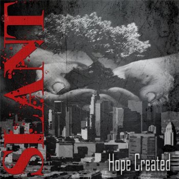 Исполнитель Slant, альбом Hope Created