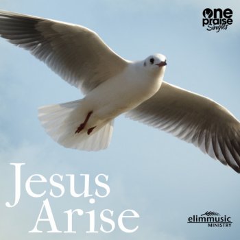 Исполнитель Elim music ministry, альбом Jesus Arise