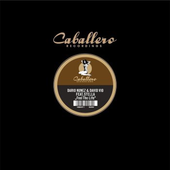 Исполнитель Dario Nunez,David Vio, альбом Feel the Life