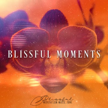 Blissful Meditation Music Zone Stream Sail