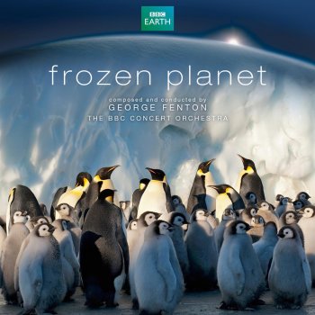 George Fenton Antarctic Mystery