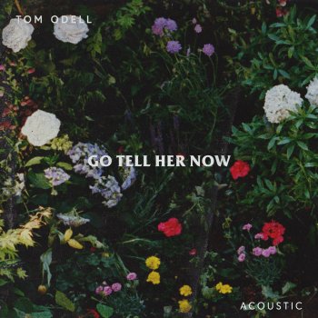 Tom Odell Go Tell Her Now - Acoustic