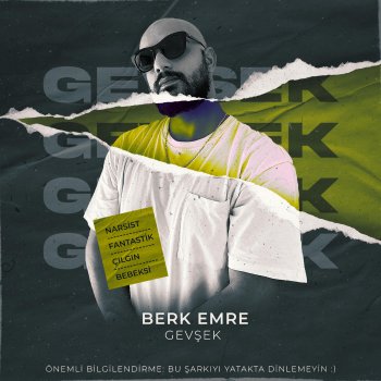 Berk Emre Gevşek