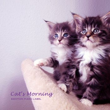 Cat's Piano Have Fun