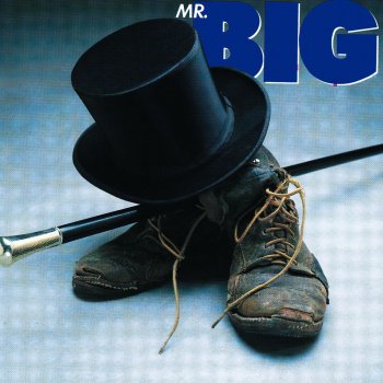 Mr. Big Anything For You