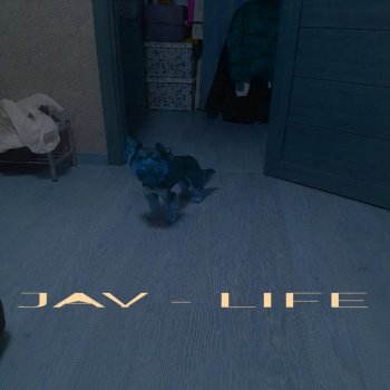 Jay LIFE