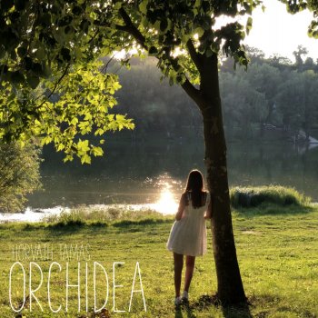 Horváth Tamás Orchidea