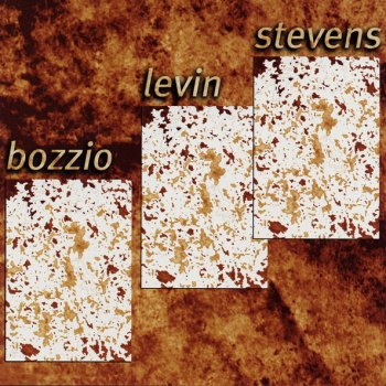 Bozzio Levin Stevens Lost