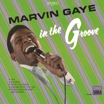 Marvin Gaye You