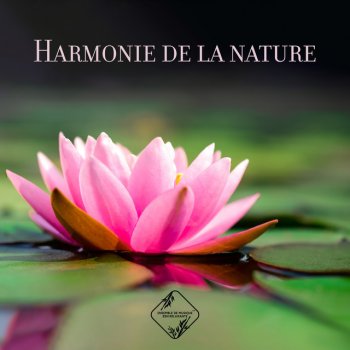 Ensemble de Musique Zen Relaxante Méditation anti stress