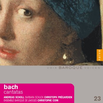 Johann Sebastian Bach feat. Christophe Coin & Ensemble Baroque De Limoges Cantate, BWV 49, Ich Geh'und Suche Mit Verlangen: II. Aria