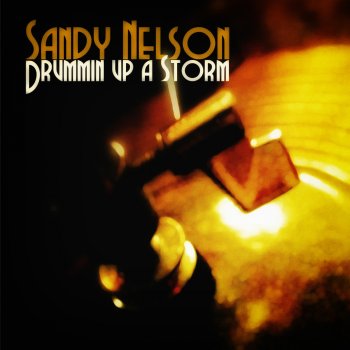 Sandy Nelson All Night Long