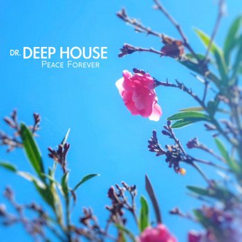 Dr. Deep House Approaching Ibz