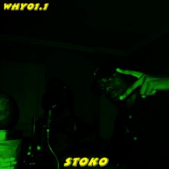 Why01.1 Stoko