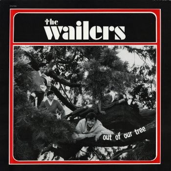 The Wailers I Got Me