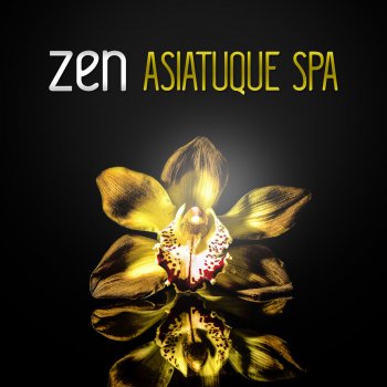 Ensemble de Musique Zen Relaxante Thalassothérapie