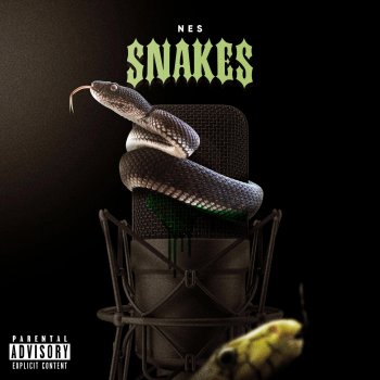 N.E.S Snakes