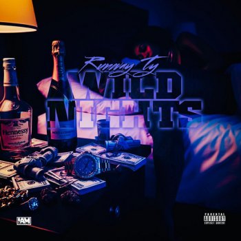 Исполнитель Runway TY, альбом WILD NIGHTS