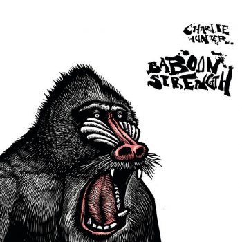 Charlie Hunter Baboon Strength