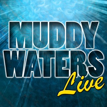 Muddy Waters Sitting and Thinking (Live)