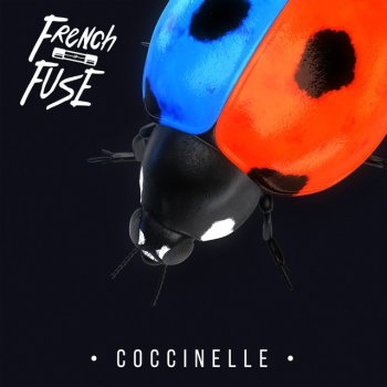 French Fuse Coccinelle