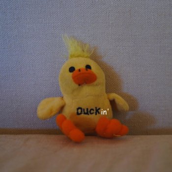 Исполнитель VVEST, альбом DUCKIN (Remix)