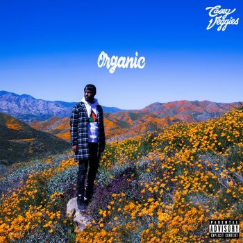 Casey Veggies The Ceiling