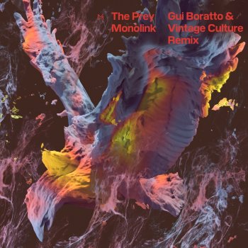 Monolink feat. Vintage Culture & Gui Boratto The Prey - Gui Boratto & Vintage Culture Remix