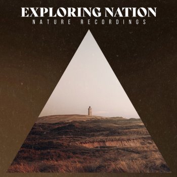 Nature Recordings Coral Everglades