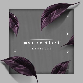 mor ve ötesi Past (Remastered)