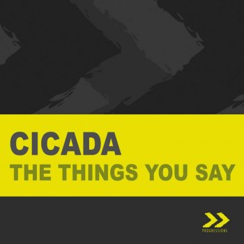 Cicada The Things You Say - Radio Edit